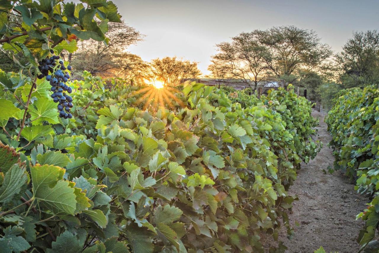 Hotel Neuras Wine&Wildlife Estate Namib-Naukluft National Park Exterior foto